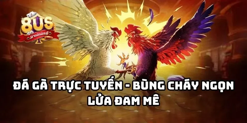 8US 28 Đá gà trực tuyến - Bùng cháy ngọn lửa đam mê